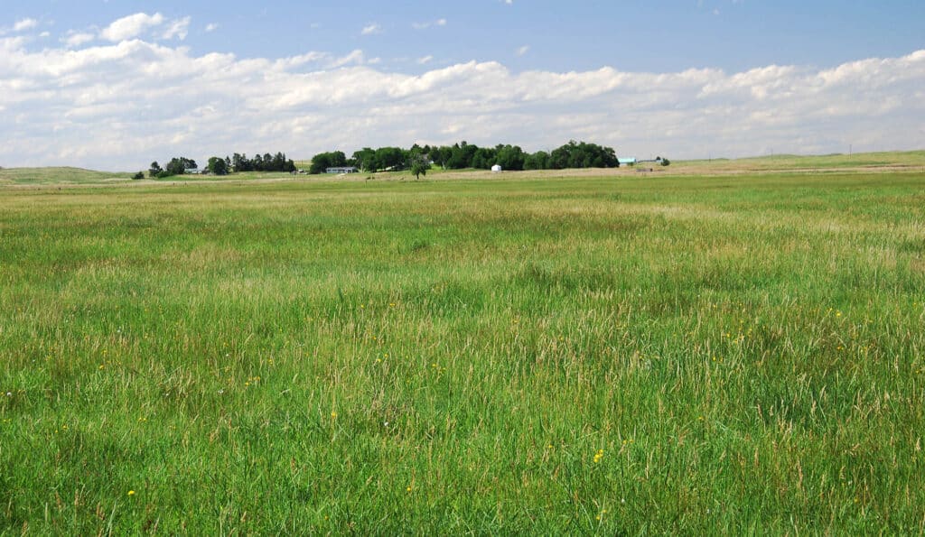 A wide, open grassland under a partly cloudy sky, featuring recreational land with a cluster of trees and a few buildings visible in the distance on the horizon.
