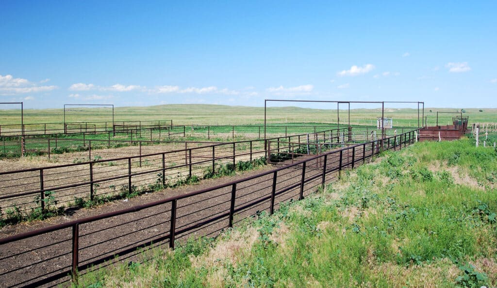 A large, empty cattle corral with metal fencing stands on grassy plains under a clear blue sky, with distant rolling hills in the background—ideal recreational land or a classic cattle ranch.