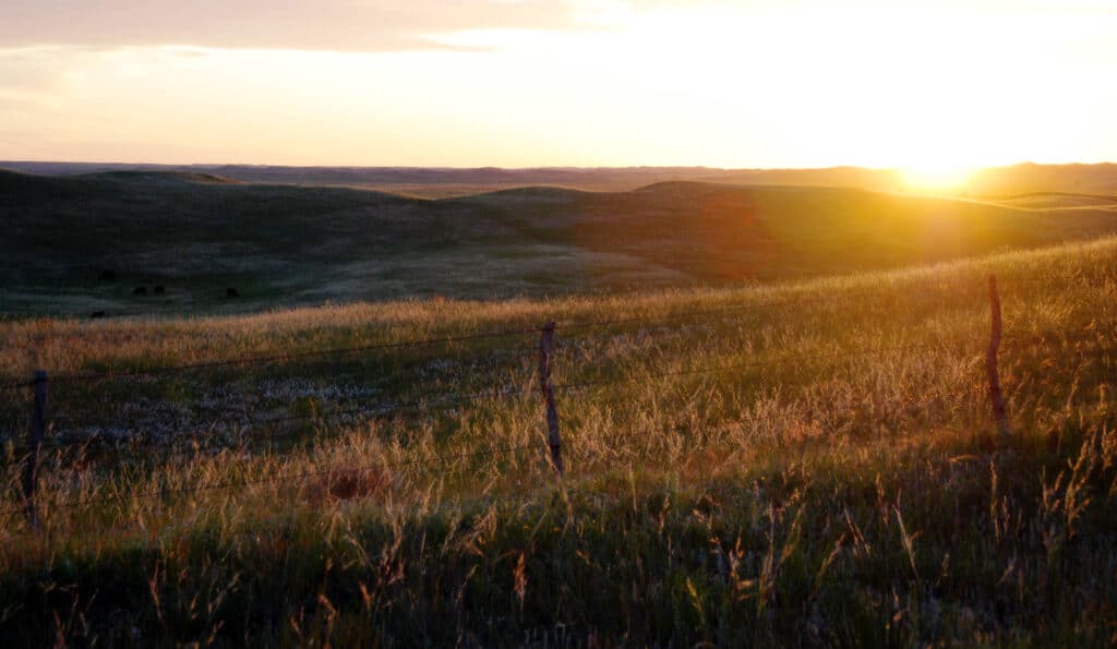A golden sunset casts warm light over rolling grassy hills, a barbed wire fence, and a rural landscape. Shadows stretch across this scenic cattle ranch, highlighting the gentle contours of this inviting land for sale.
