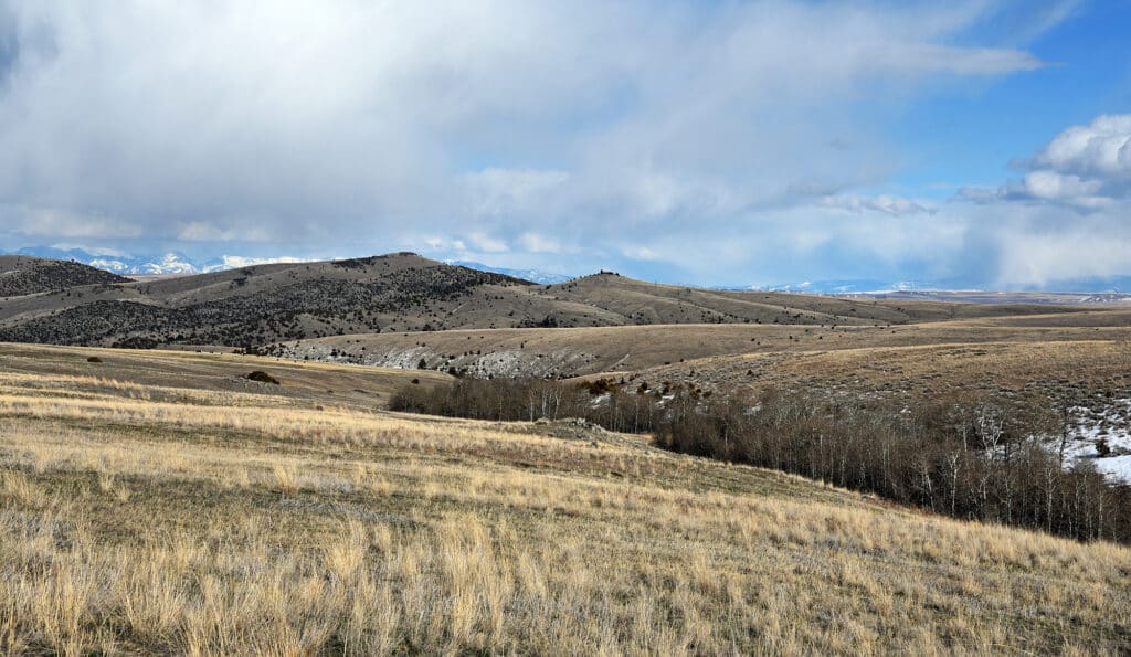 A wide view of rolling, dry grasslands dotted with low bushes and leafless trees, with distant hills and snow-capped mountains under a partly cloudy sky—ideal cattle ranch or recreational land.
