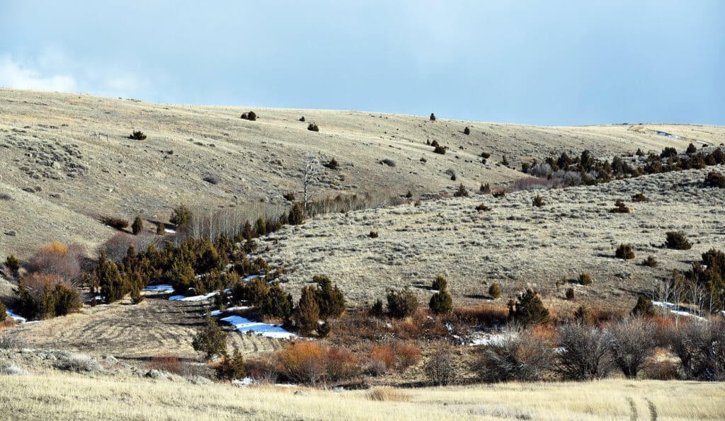 Rolling, grassy hills with patches of dry shrubs and scattered small trees under a cloudy sky. Some traces of snow remain on the ground, making this ideal recreational land with hints of brown and green vegetation throughout.