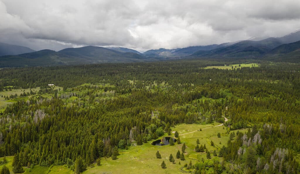 Aerial view of recreational land featuring a vast, green forest with scattered clearings and a small pond, surrounded by rolling mountains under a cloudy, overcast sky. Ideal hunting property.