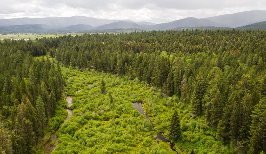 Aerial view of lush green recreational land with a winding stream running through dense trees and shrubs, set against distant mountains under a cloudy sky. Ideal hunting property.
