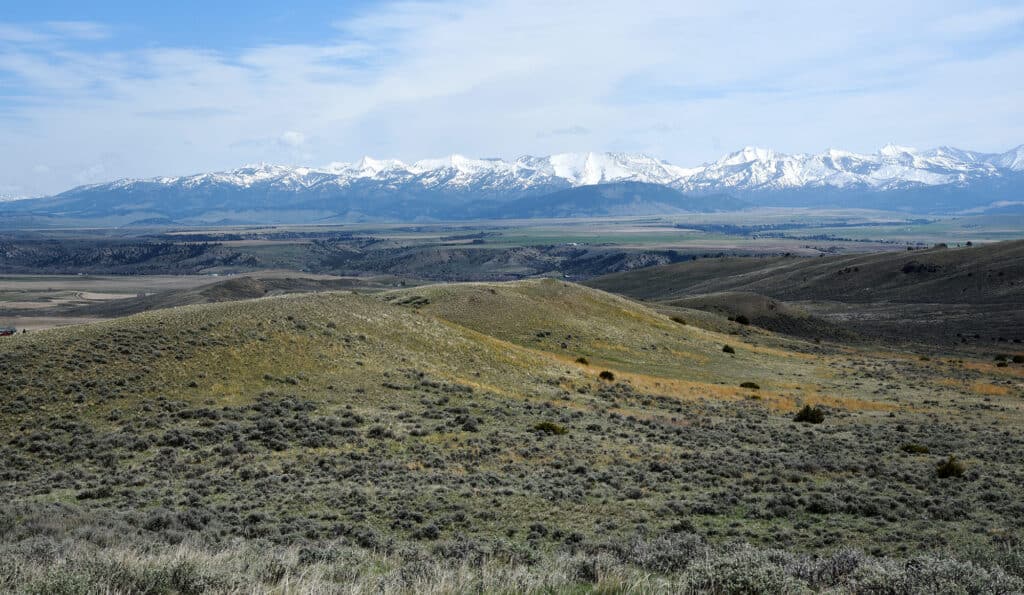 Rolling grassy hills with sparse shrubs in the foreground, wide open plains in the midground, and a distant range of snow-capped mountains under a partly cloudy sky—ideal recreational land or cattle ranch opportunity.