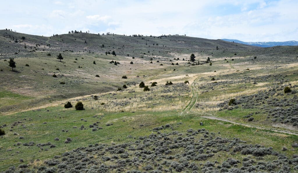 Wide view of a grassy, hilly landscape with scattered shrubs and small trees under a partly cloudy sky. Narrow dirt paths wind through the open terrain—ideal for a hunting property or cattle ranch—with distant hills on the horizon.