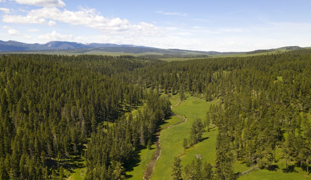 Aerial view of a lush green forest with a winding stream, perfect hunting property or cattle ranch, surrounded by rolling hills and distant mountains under a blue sky with scattered clouds.