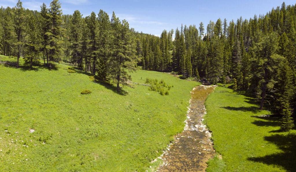 A narrow, rocky stream winds through a lush green meadow on this picturesque ranch for sale, bordered by tall pine trees under a clear blue sky.