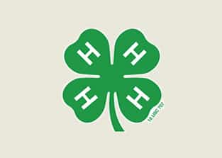 4hyouth