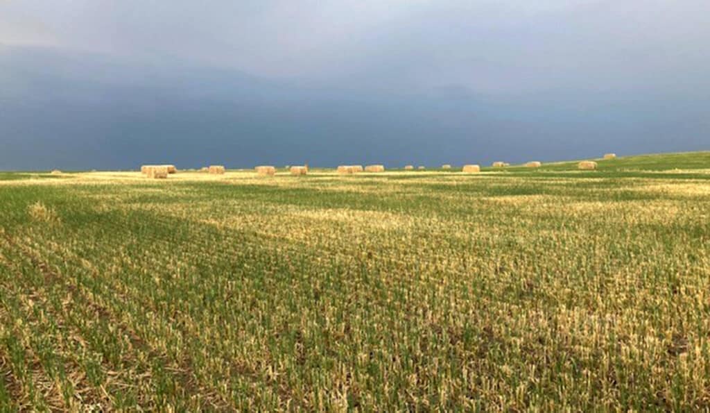 A wide field with green and yellow grass, dotted with numerous rectangular hay bales. The dark, overcast sky suggests an approaching storm—perfect recreational land or hunting property for those seeking open spaces.