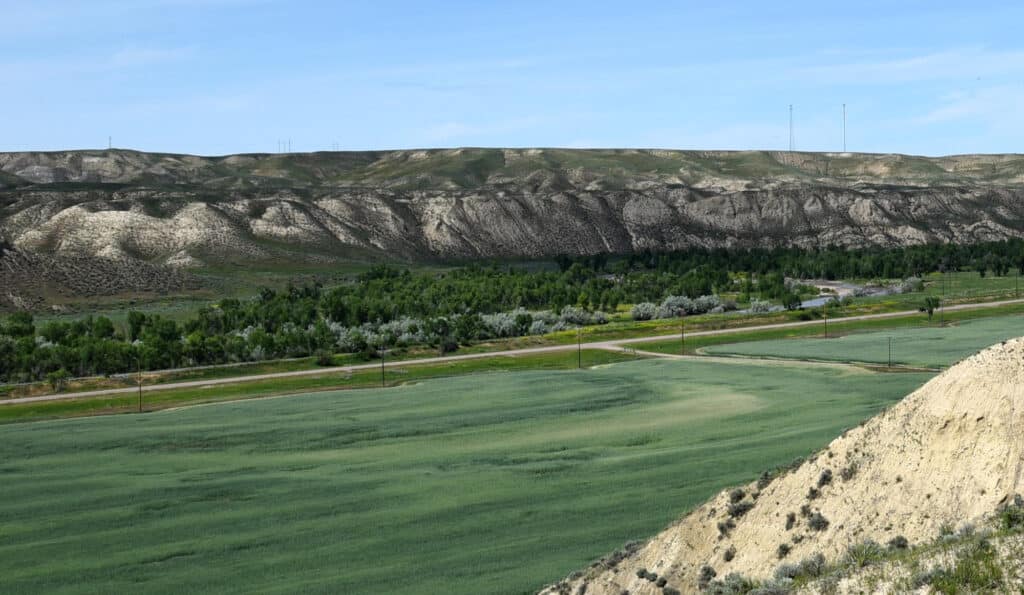 A wide landscape showing green fields, a line of trees, and a distant ridge of rocky, grassy hills under a blue sky—ideal recreational land or ranch for sale.