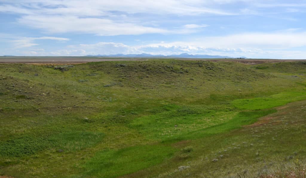 A wide, grassy landscape with rolling green hills under a blue sky with scattered clouds—ideal recreational land or hunting property, with mountains visible in the distant background.