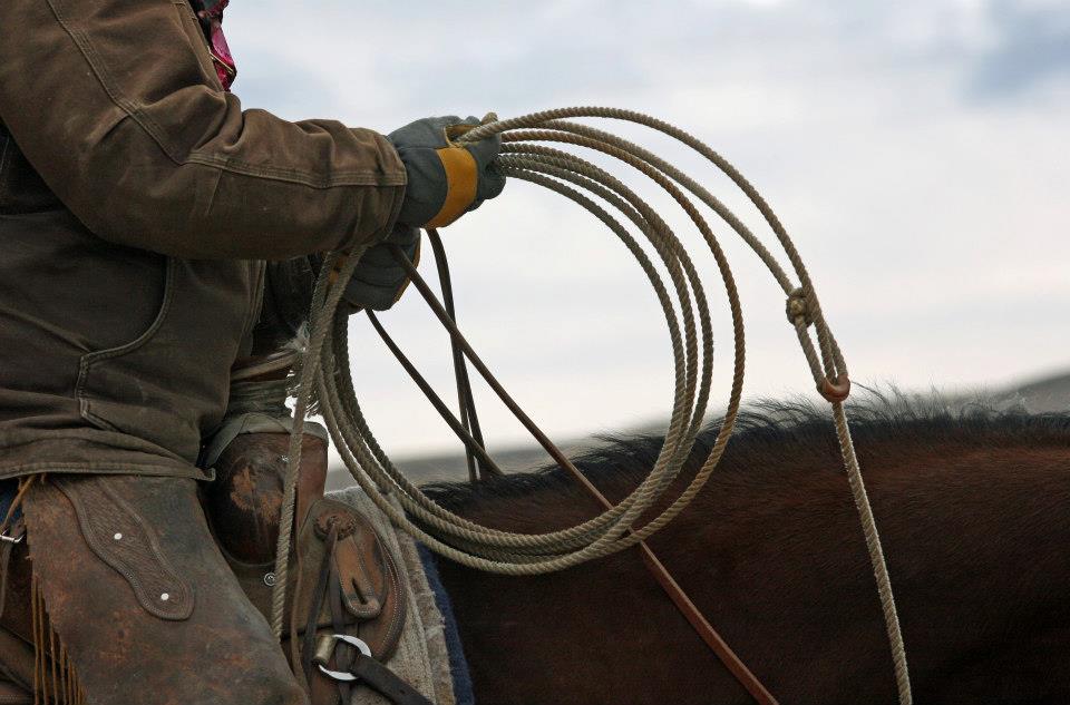 A close-up of a person in a brown jacket and gloves holding a coiled rope while sitting on a horse, with the horse’s mane and saddle partially visible—perfect for showcasing life on a cattle ranch. The background is out of focus.