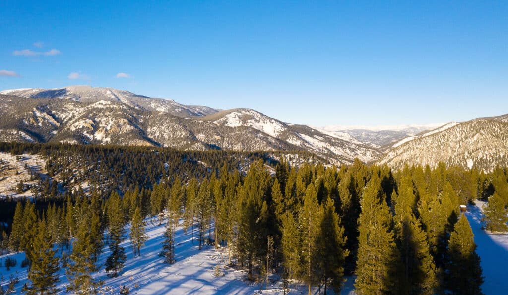 A scenic view of snow-covered mountains under a clear blue sky, with a dense forest of evergreen trees in the foreground. Ideal recreational land or hunting property, where sunlight casts long shadows across the snowy landscape.