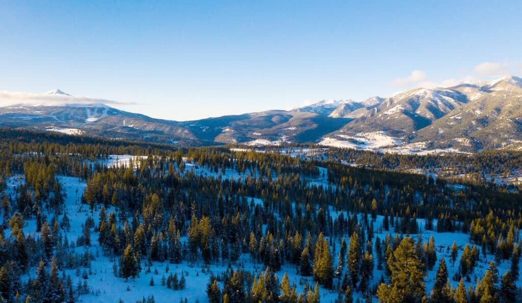A wide view of a snowy landscape with dense pine forests and mountain ranges in the background under a clear blue sky—ideal recreational land or hunting property.