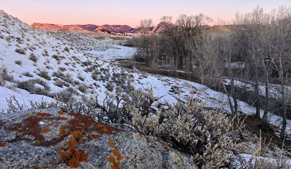 Snow-covered hills and leafless trees in a winter landscape at sunset, with orange-lichen-covered rocks in the foreground—perfect recreational land or cattle ranch opportunities, with mountains glowing pink in the distance under a clear sky.