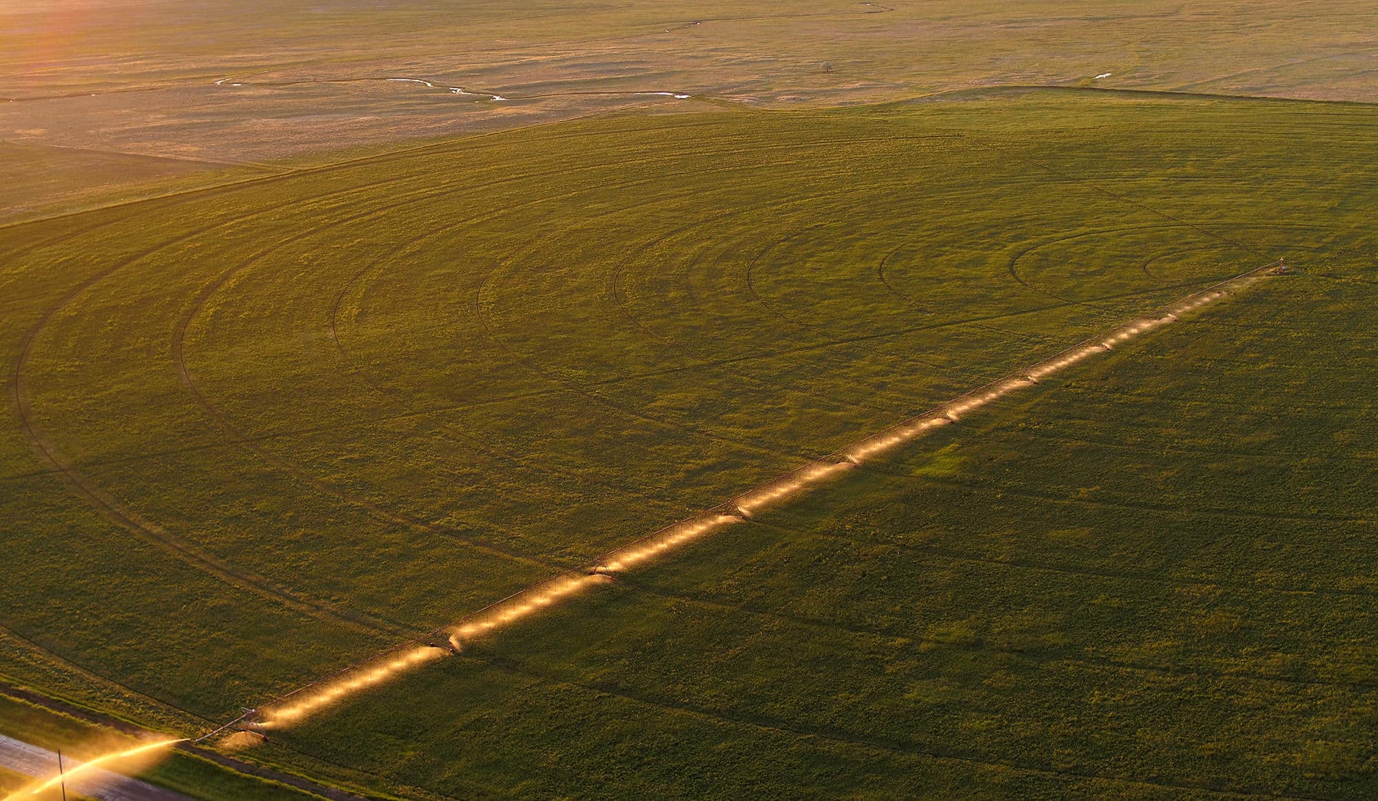 Aerial view of a large green field at sunset on a cattle ranch for sale, featuring circular irrigation patterns and a striking line of sunlight cutting across the landscape, all bathed in warm, golden light.