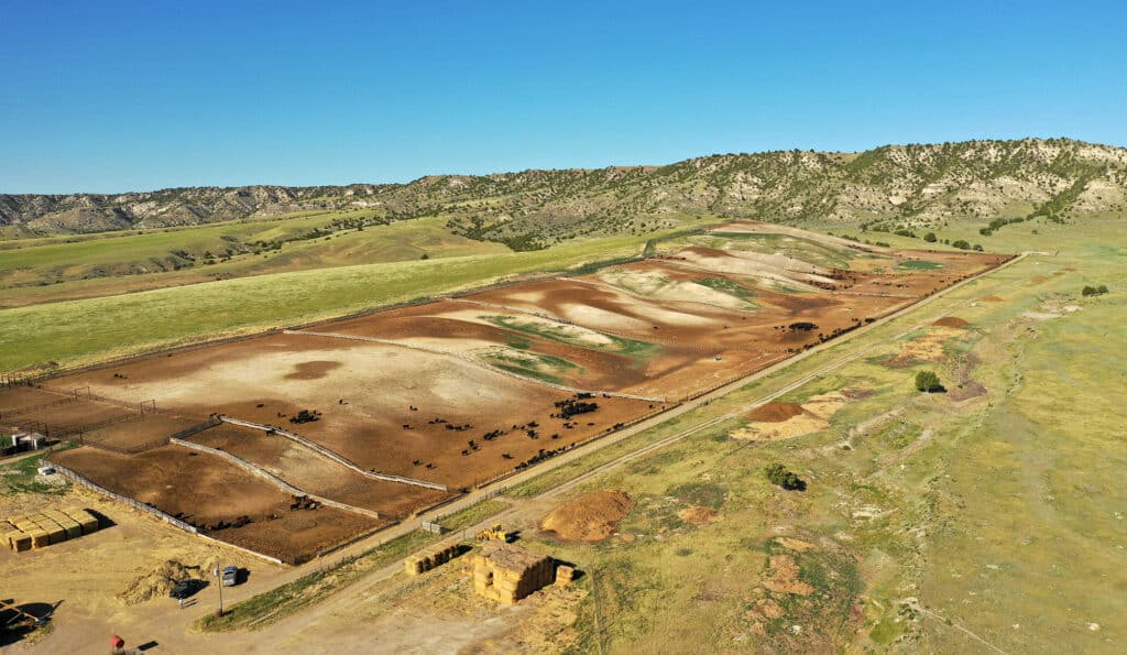 Aerial view of a large cattle feedlot on expansive recreational land, surrounded by grasslands and hills, with herds of cows gathered in separate fenced sections under a clear blue sky.
