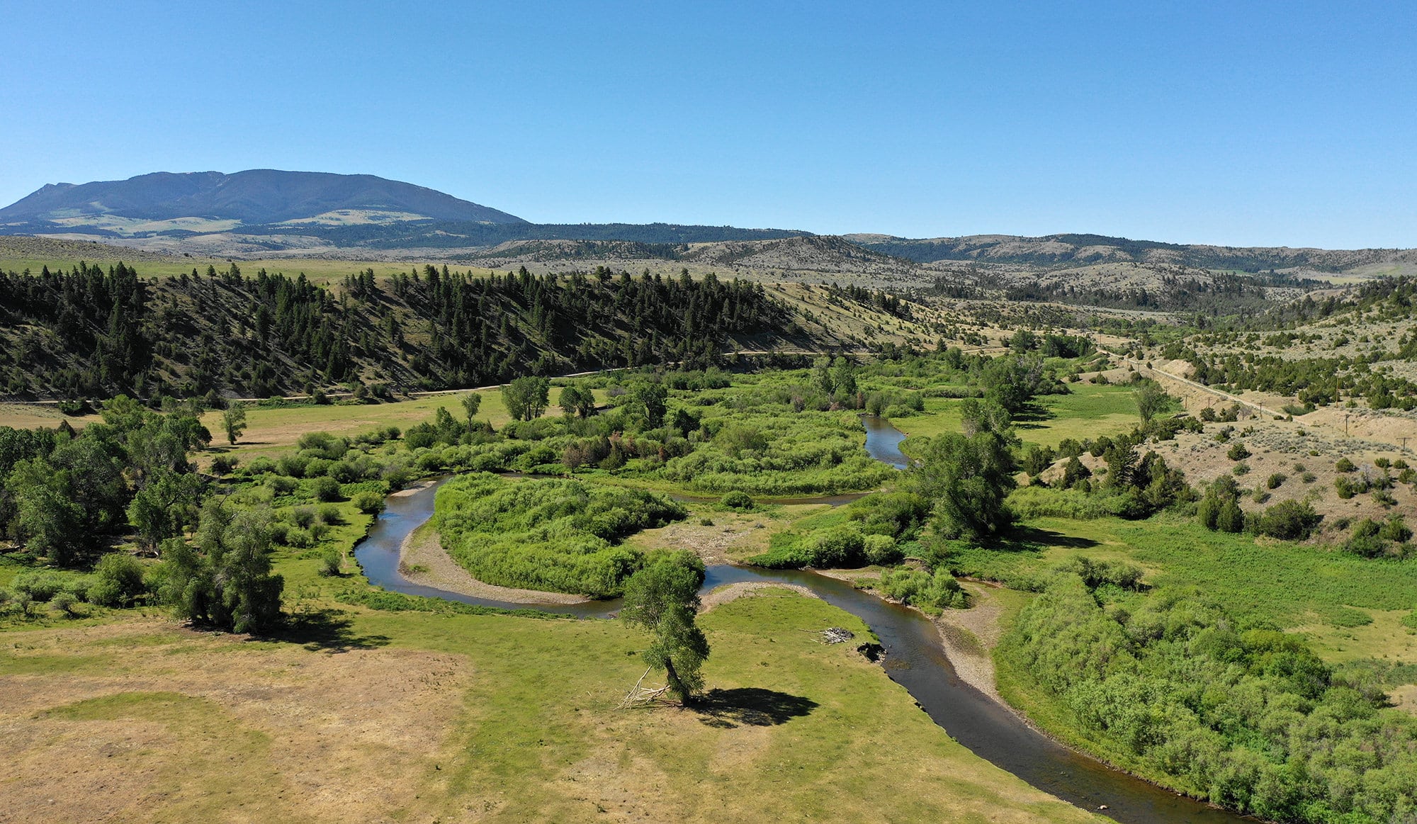 A winding river flows through a lush green valley, bordered by trees and rolling hills, perfect as recreational land or a scenic cattle ranch beneath a distant mountain and clear blue sky.