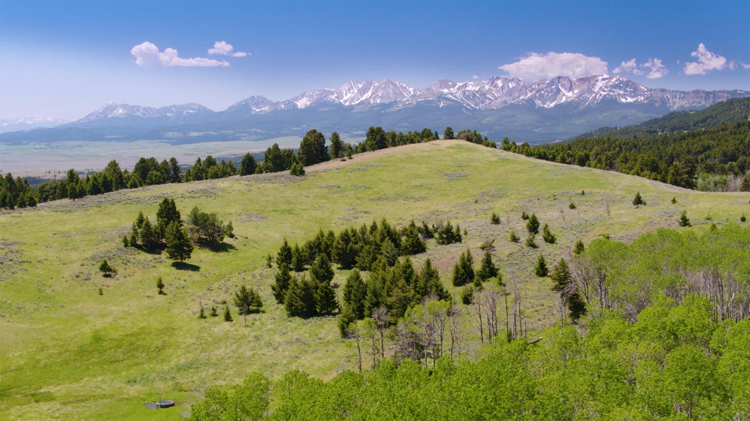 Grassy hills with scattered trees and lush green foliage in the foreground, ideal recreational land, set against distant snow-capped mountains beneath a clear blue sky with a few clouds.