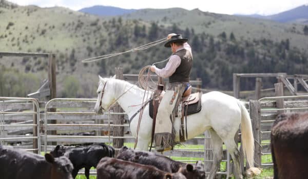 A cowboy on a white horse swings a lasso inside a corral, surrounded by cattle, with grassy hills and mountains in the background—perfect imagery for a classic cattle ranch or scenic land for sale.