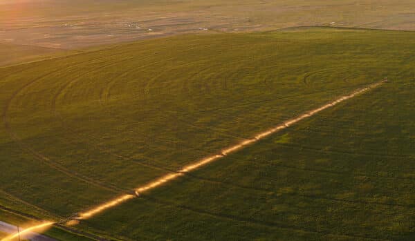 Aerial view of a vast green field with circular crop patterns and a straight dirt path illuminated by the setting sun, passing diagonally across prime recreational land.