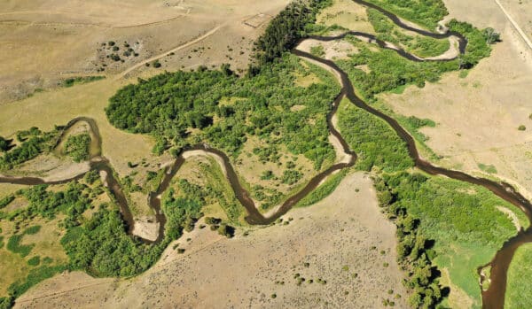 Aerial view of a winding river through green, forested recreational land surrounded by dry, brown grassland. The river forms sharp bends, with dense trees along its banks and scattered shrubs—ideal hunting property or land for sale.