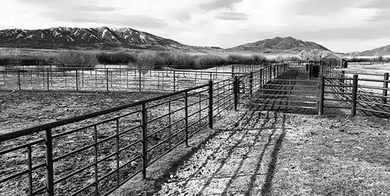 Black and white photo of empty livestock pens made of metal fencing, set on flat ground with mountains in the background under a cloudy sky—ideal land for sale for a ranch or hunting property.