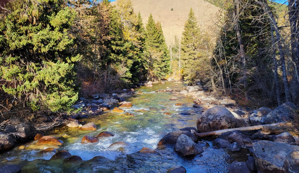 A clear, rocky stream flows through a forest of evergreen trees with a hill covered in dry grass in the background—an ideal piece of recreational land for sale on a sunny day.