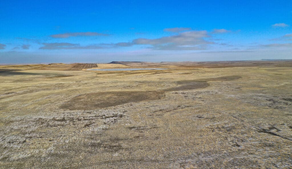 A wide, flat landscape with dry, yellowish grass under a bright blue sky—perfect cattle ranch or recreational land. Sparse clouds linger near the horizon, with distant hills or mesas in the background. The scene feels open and expansive.