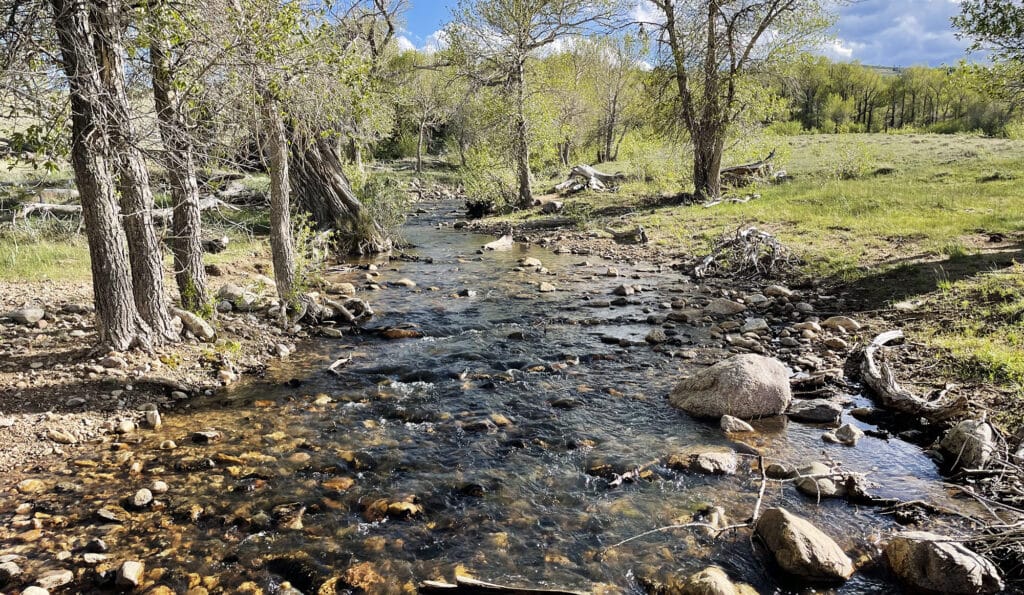 A shallow, rocky creek flows through grassy, tree-lined recreational land under a partly cloudy sky. Sunlight filters through green leaves, illuminating the clear water and stones in the stream.