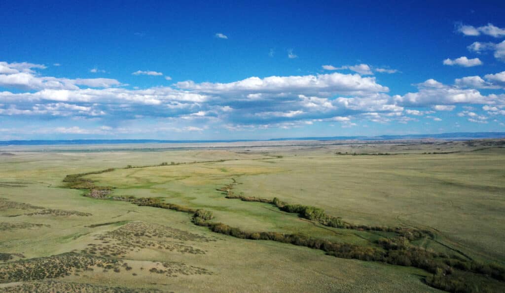 A vast, open grassland stretches to the horizon under a bright blue sky with scattered clouds. A narrow stream winds through fields of green, making this an ideal cattle ranch. Distant hills provide a scenic backdrop.