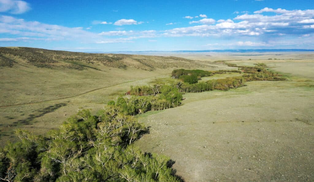 A wide view of recreational land featuring a grassy plain with rolling hills, scattered green shrubs, and clusters of trees under a blue sky with scattered clouds.