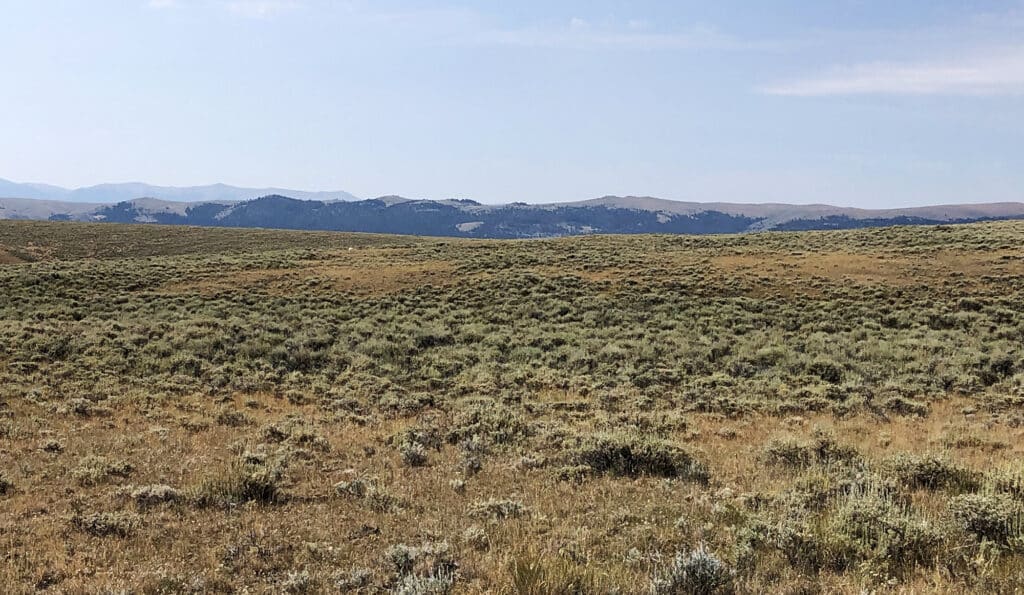 A wide, open grassland with low, sparse shrubs stretches toward distant, hazy hills and mountains under a clear blue sky—ideal recreational land or cattle ranch for sale.