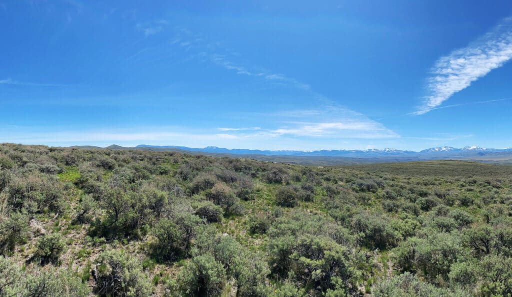 A wide landscape of green shrubs and low vegetation stretches into the distance under a clear blue sky, with distant mountains on the horizon—a perfect setting for recreational land or a scenic cattle ranch.