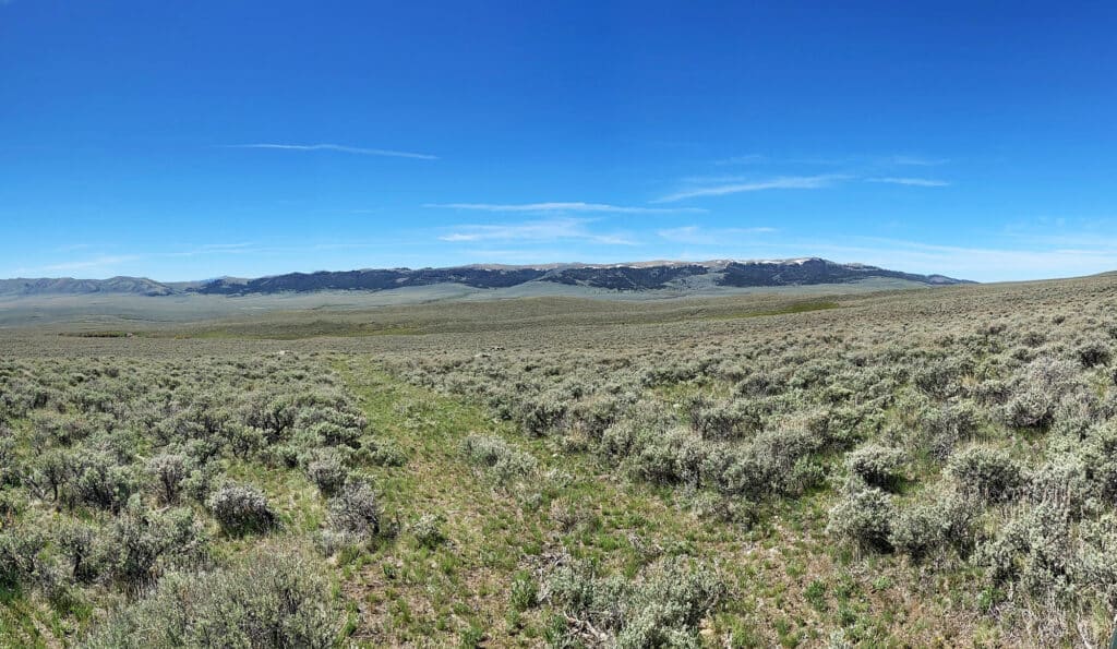 Wide view of an open sagebrush plain under a clear blue sky, with low mountains in the distance and sparse green and grayish vegetation covering the gently rolling landscape—perfect cattle ranch or recreational land.