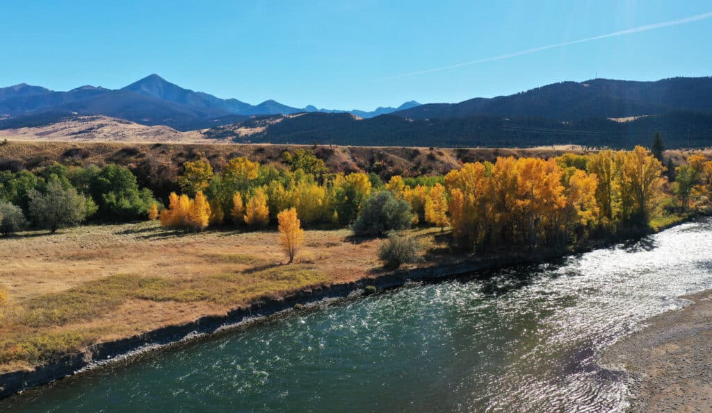 A river flows alongside trees with vibrant yellow autumn foliage, set amid dry grass and green vegetation, with distant mountains under a clear blue sky—ideal land for sale as a scenic cattle ranch or hunting property.