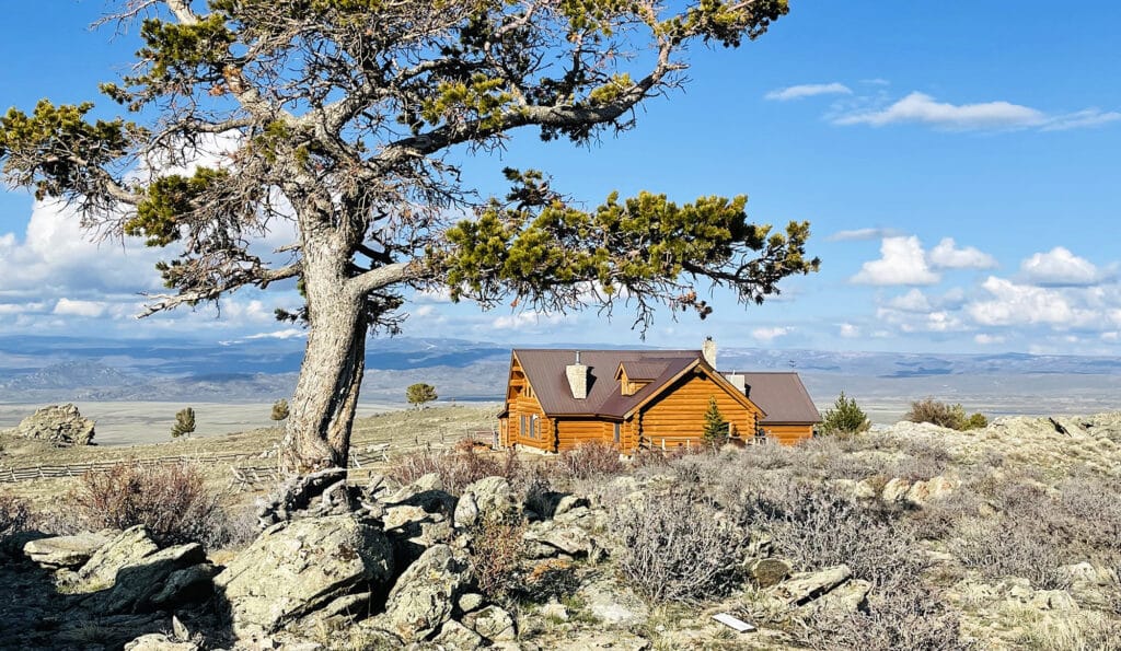 A rustic log cabin sits on a rocky, shrub-dotted hillside, partially shaded by a tall pine tree, with distant mountains and a blue sky in the background—perfect for a ranch for sale or cattle ranch seekers.