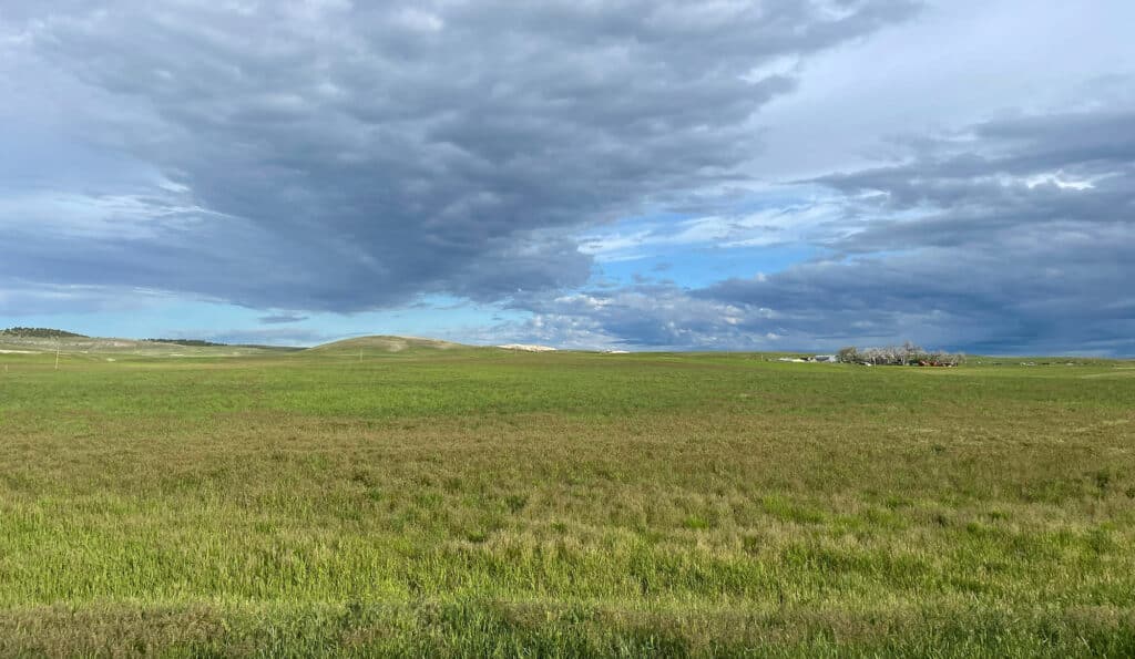A wide grassy plain stretches under a dramatic sky with thick, dark clouds and blue patches. In the distance, low hills and a cluster of trees mark the horizon—an ideal setting for recreational land or a picturesque cattle ranch.