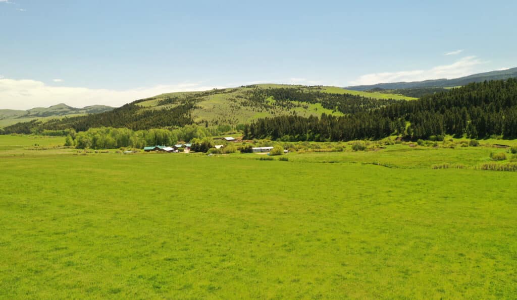 A wide green field stretches toward a cluster of buildings nestled at the base of gently rolling, tree-covered hills—an ideal cattle ranch beneath a clear blue sky.