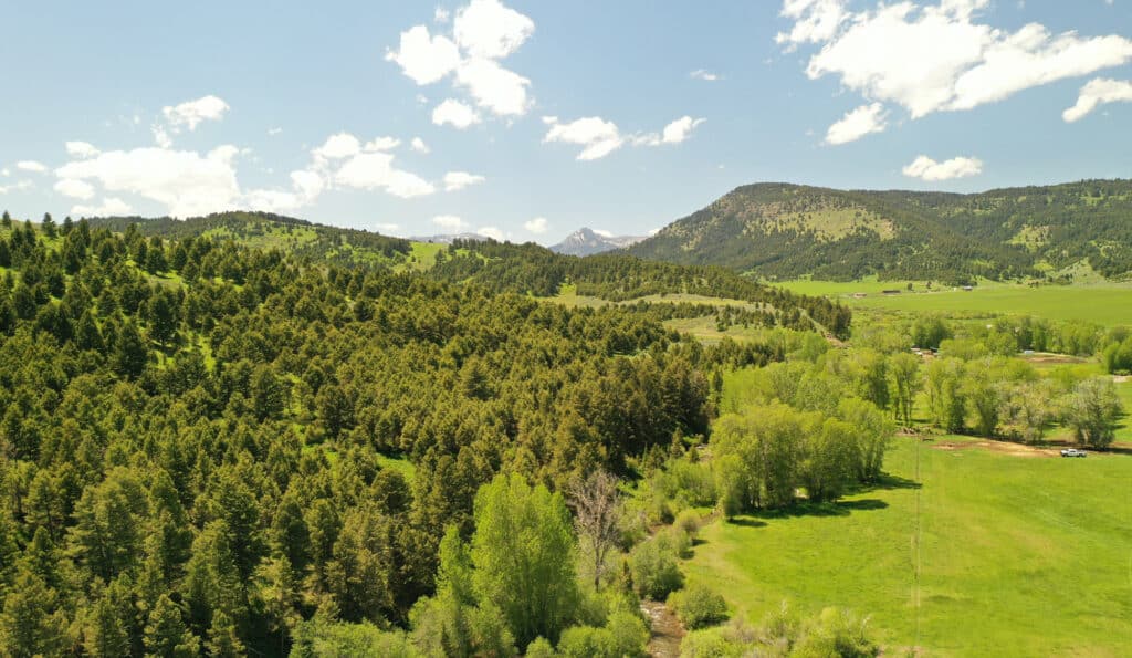 A scenic landscape of green forested hills and open grassy fields beneath a bright blue sky with scattered white clouds, with distant mountains in the background—ideal recreational land or ranch for sale.