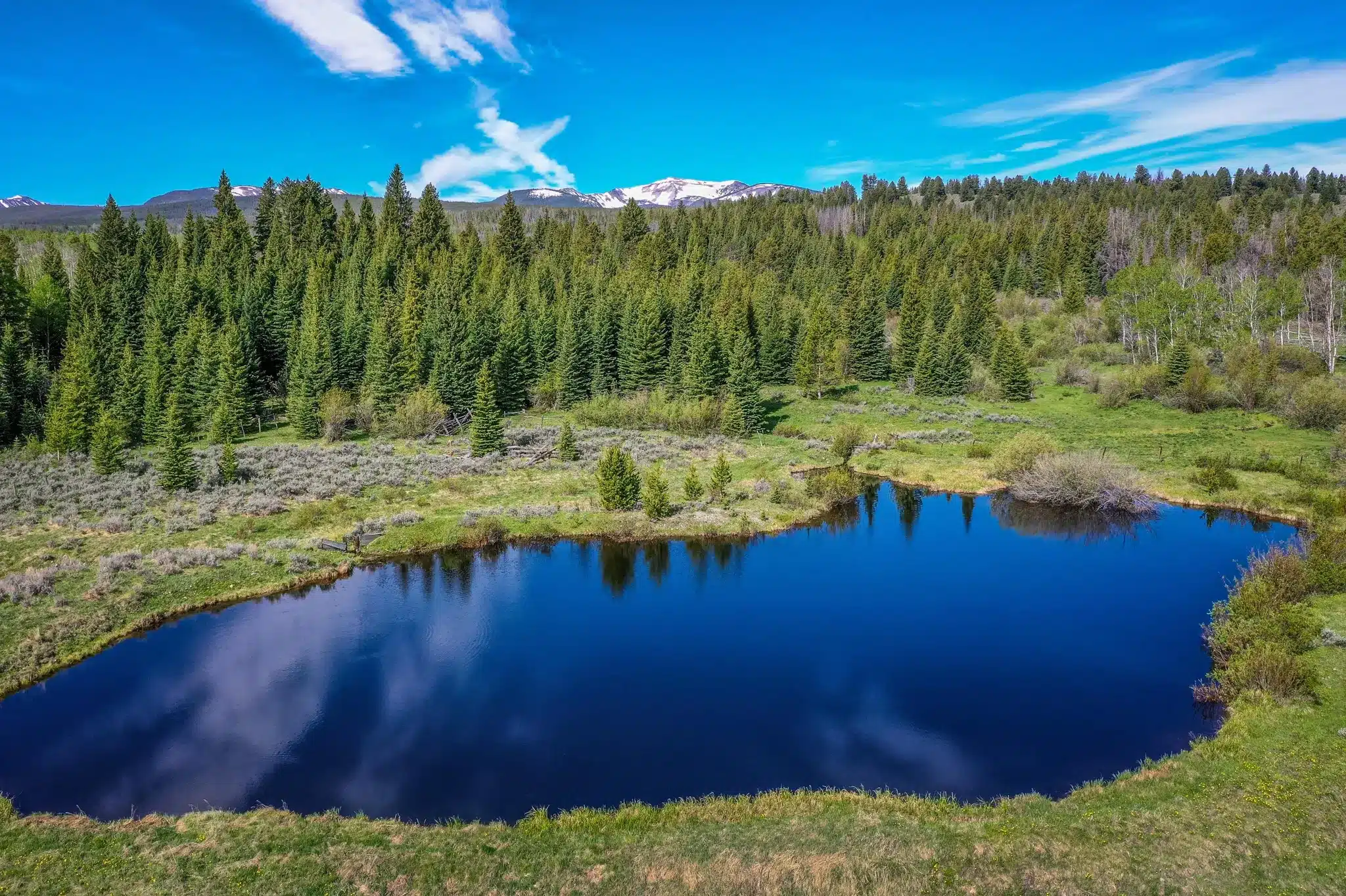 A small, calm pond reflects blue sky and clouds, surrounded by green grass and pine trees, with snow-capped mountains in the distance—perfect as recreational land or a peaceful hunting property under a clear sky.