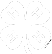 Black-and-white outline drawing of a four-leaf clover, with a capital “H” in the center of each leaf—perfect for highlighting hunting property or recreational land.