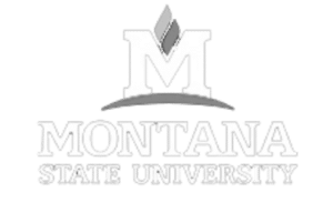 Montana State University logo featuring a large letter M with a stylized flame above it and the words Montana State University below, reflecting the spirit of the region known for its cattle ranch heritage and vast land for sale.
