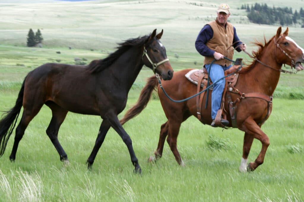 A man wearing a cap and vest rides a brown horse through a grassy field, leading a black horse alongside him—perfect scenery for those seeking recreational land or a ranch for sale, with rolling hills and trees in the background.