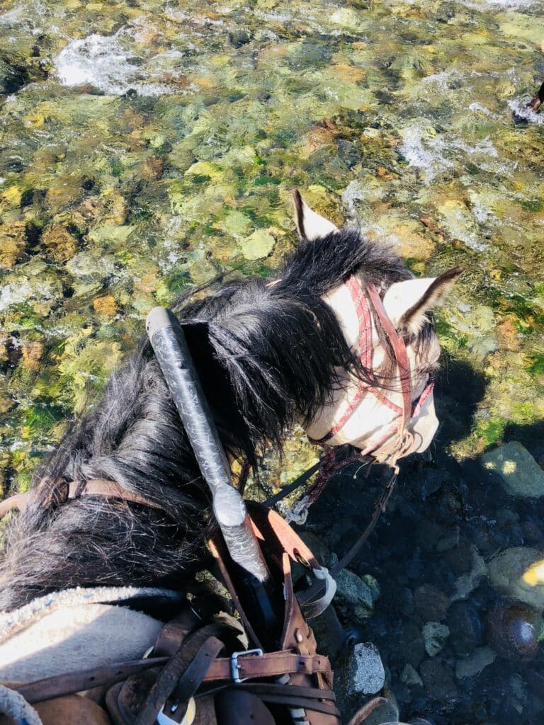A brown and white horse with a black mane and bridle stands in a shallow, rocky stream on a picturesque ranch for sale, viewed from above. Sunlight highlights the rocks and the horse’s head and neck.
