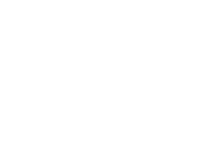 White logo with the words Pure dixie in cursive and bold fonts, and the tagline Where fashion meets function underneath, all on a light gray background—perfect for those seeking style as unique as a ranch for sale.