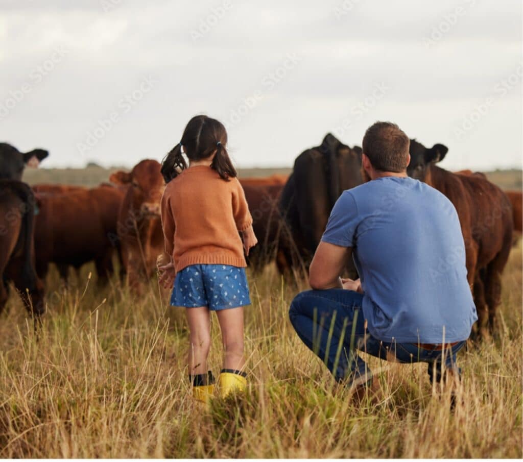 A man and a young girl stand in a grassy field on a cattle ranch, watching a herd of brown cows grazing peacefully in the distance.