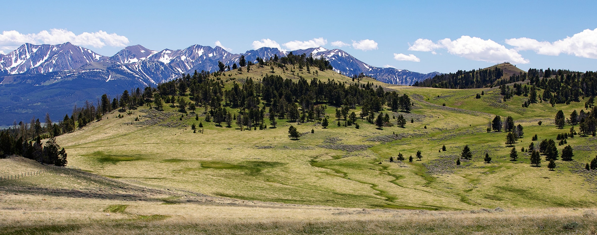 Rolling green hills with scattered pine trees in the foreground, snow-capped mountains in the background, and a clear blue sky above—this recreational land is perfect for those seeking land for sale amidst natural beauty.