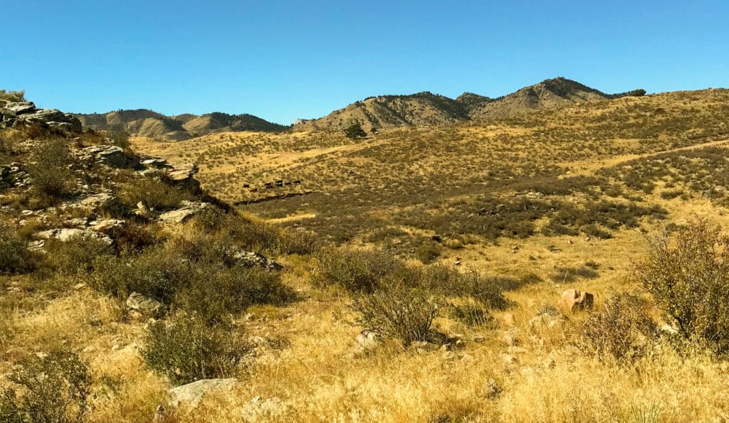 Dry grassland with scattered shrubs and rocks under a clear blue sky, perfect as recreational land or hunting property, with rolling hills and mountains in the background.