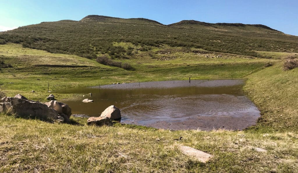 A small pond with muddy water sits in a grassy, green valley surrounded by gentle hills under a clear blue sky. Large rocks rest near the pond’s edge—ideal recreational land or potential cattle ranch, perfect for nature lovers.